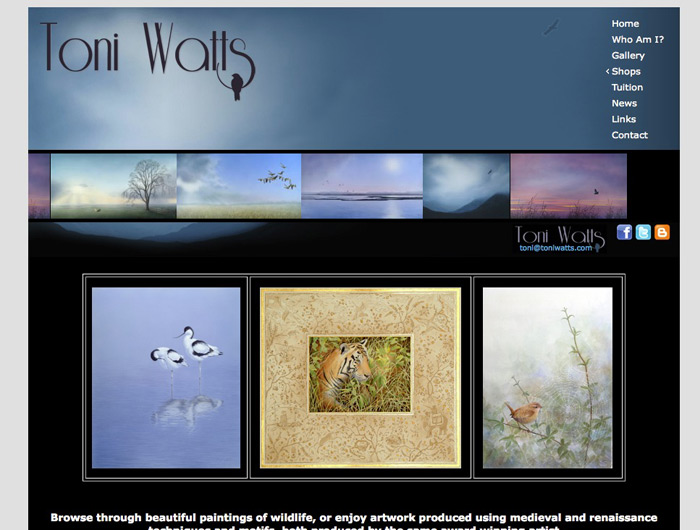 Web Design Nottingham - Toni Watts Wildlife Art